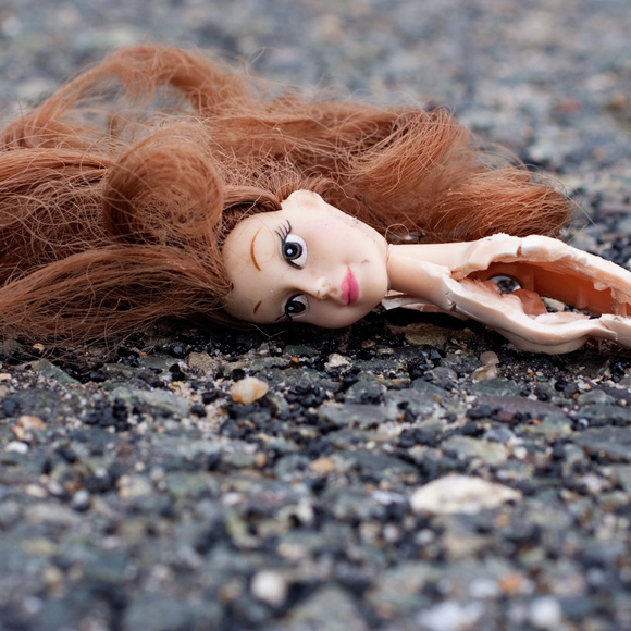 Meet your Posher, George - Picture 2 of 3